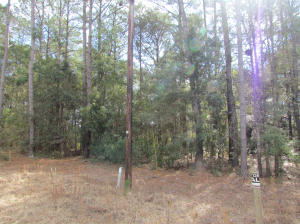 4 A Indigo Hill Road Edisto Island, SC 29438 - Photo 2 of 9 lot 2