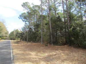 4 A Indigo Hill Road Edisto Island, SC 29438 - Photo 3 of 9 lot 3