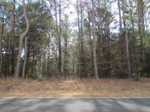 4 A Indigo Hill Road Edisto Island, SC 29438 - Photo 4 of 9 lot 4