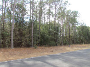 4 A Indigo Hill Road Edisto Island, SC 29438 - Photo 6 of 9 lot 6