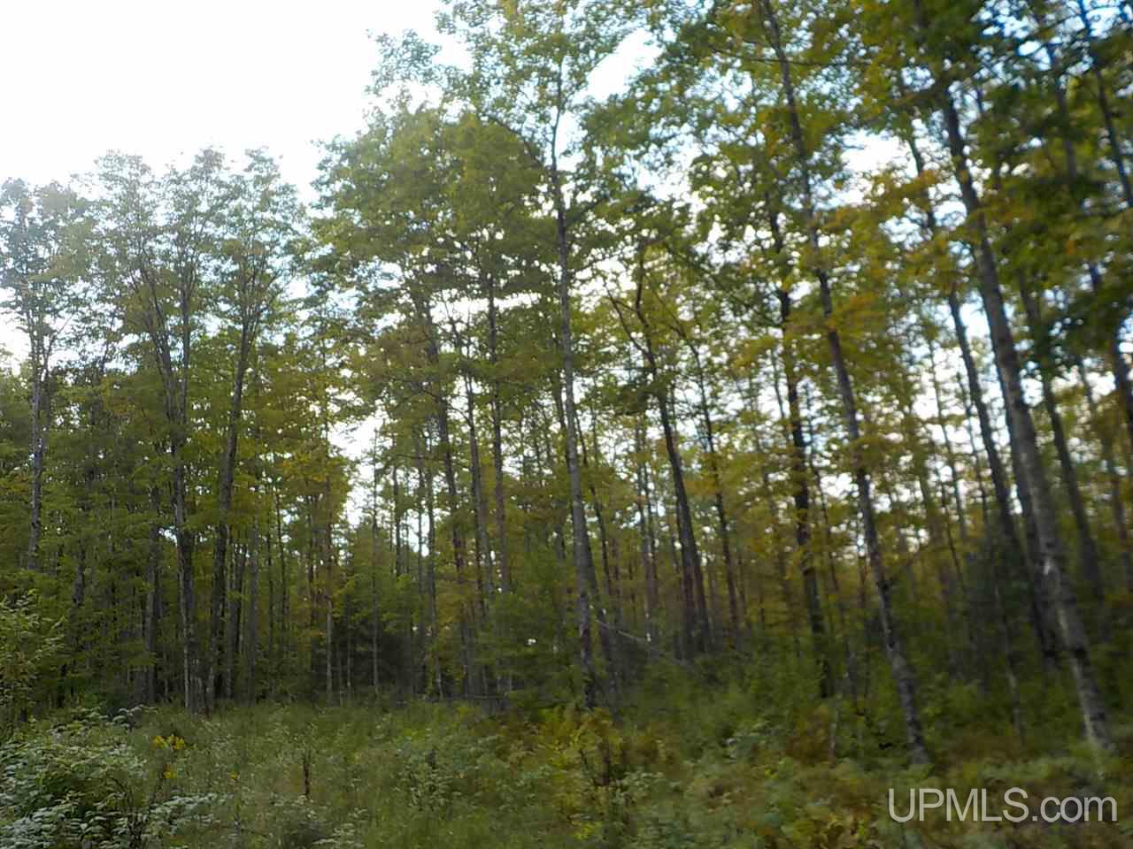80-ac Mcclaren Road Crystal Falls, MI 49920 - Photo 17 of 27
