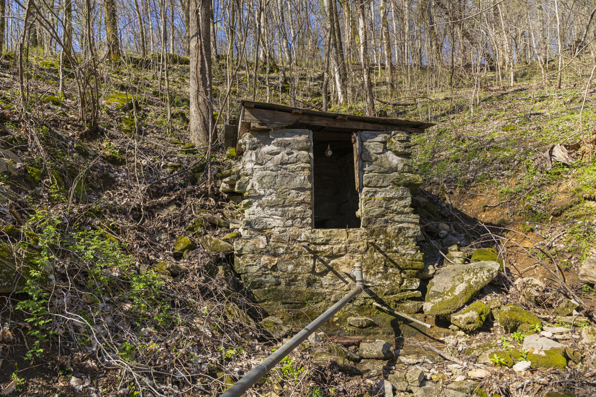 4250 Delina Road Cornersville, TN 37047 - Photo 11 of 34