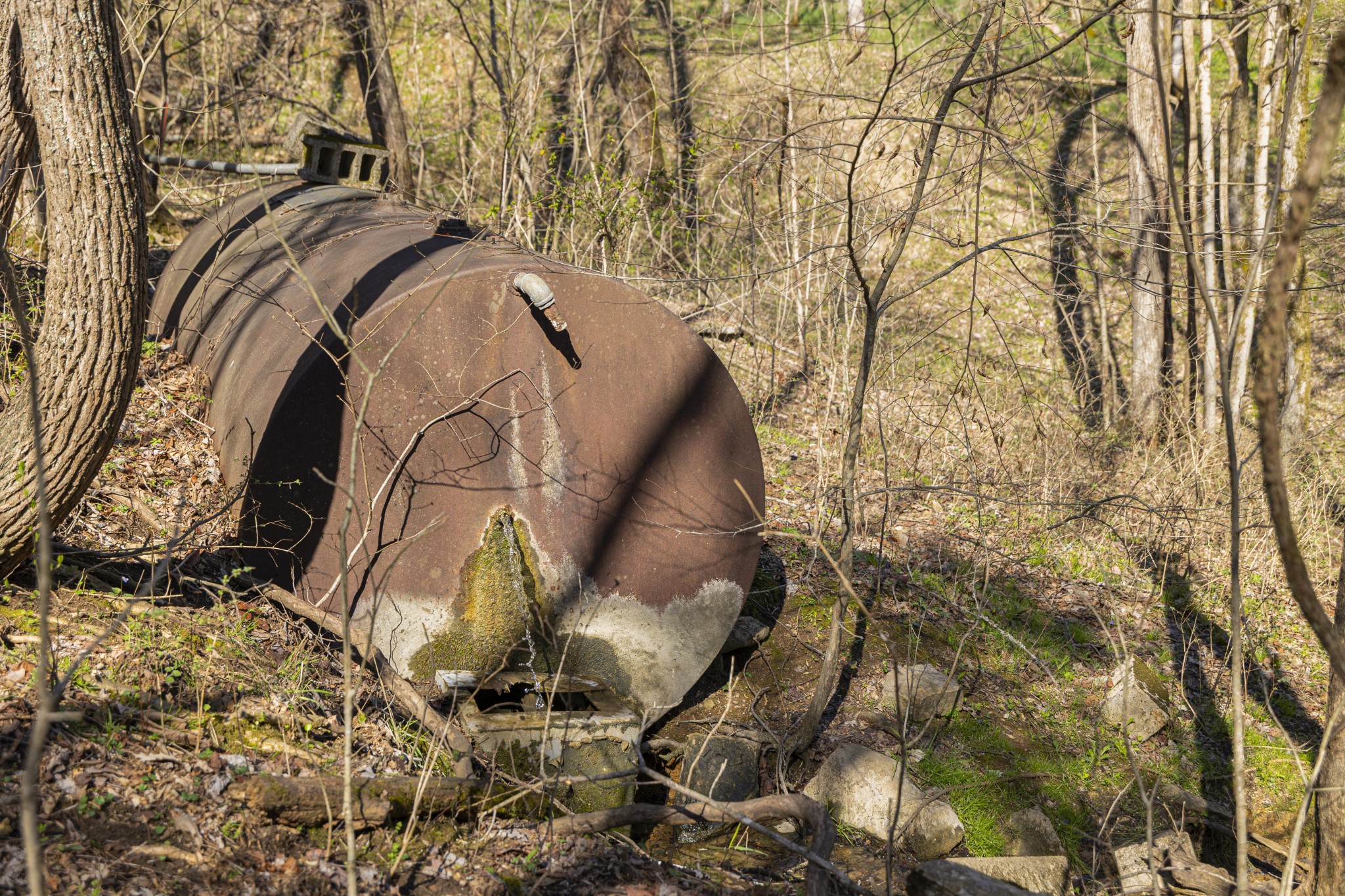 4250 Delina Road Cornersville, TN 37047 - Photo 12 of 34