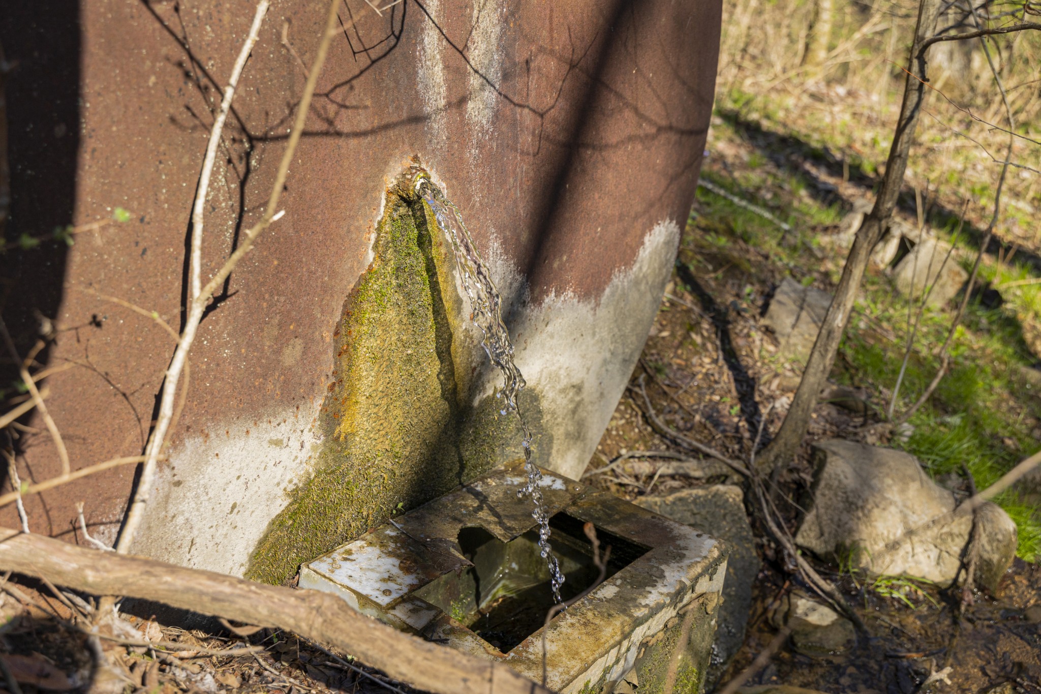 4250 Delina Road Cornersville, TN 37047 - Photo 13 of 34