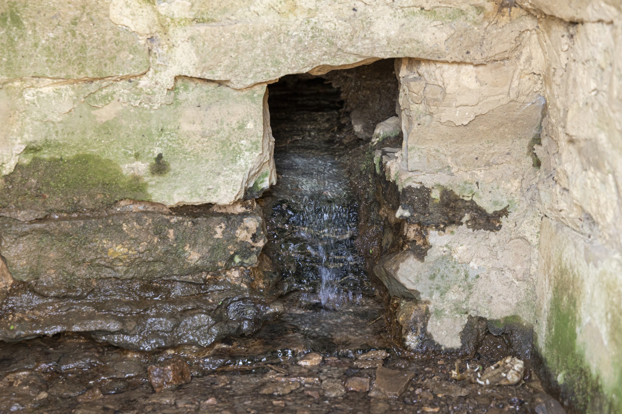 4250 Delina Road Cornersville, TN 37047 - Photo 14 of 34