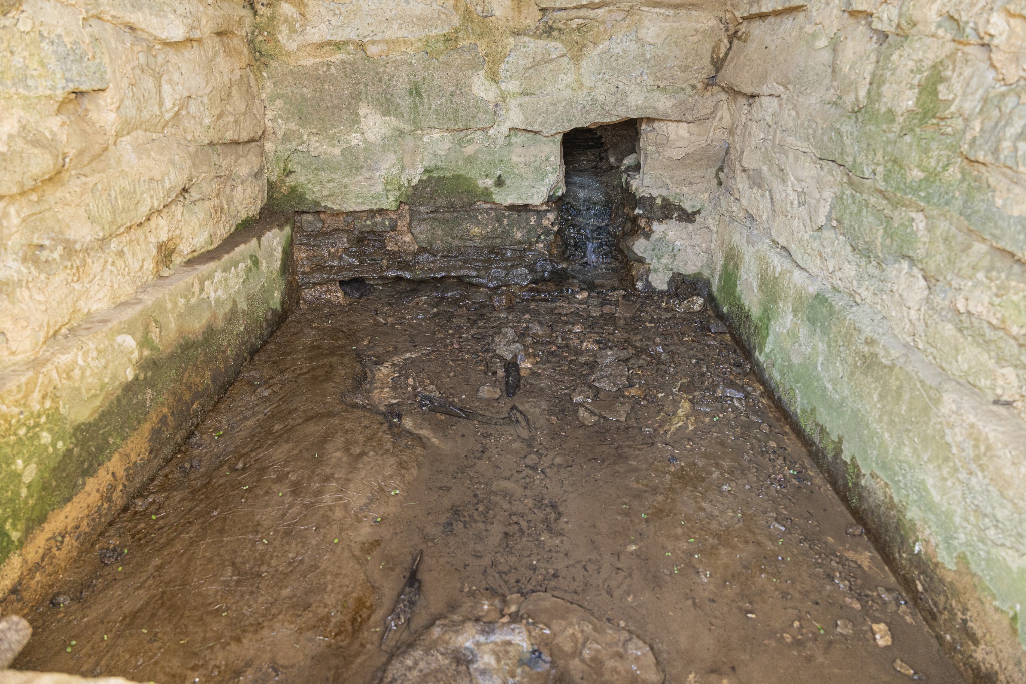 4250 Delina Road Cornersville, TN 37047 - Photo 15 of 34