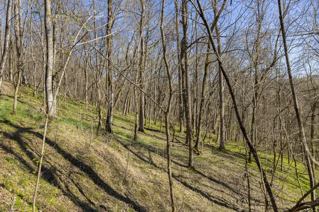 $1,700,000 | 4250 Delina Road, Cornersville, TN 37047