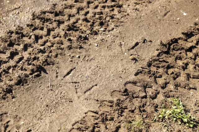 $1,700,000 | 4250 Delina Road, Cornersville, TN 37047