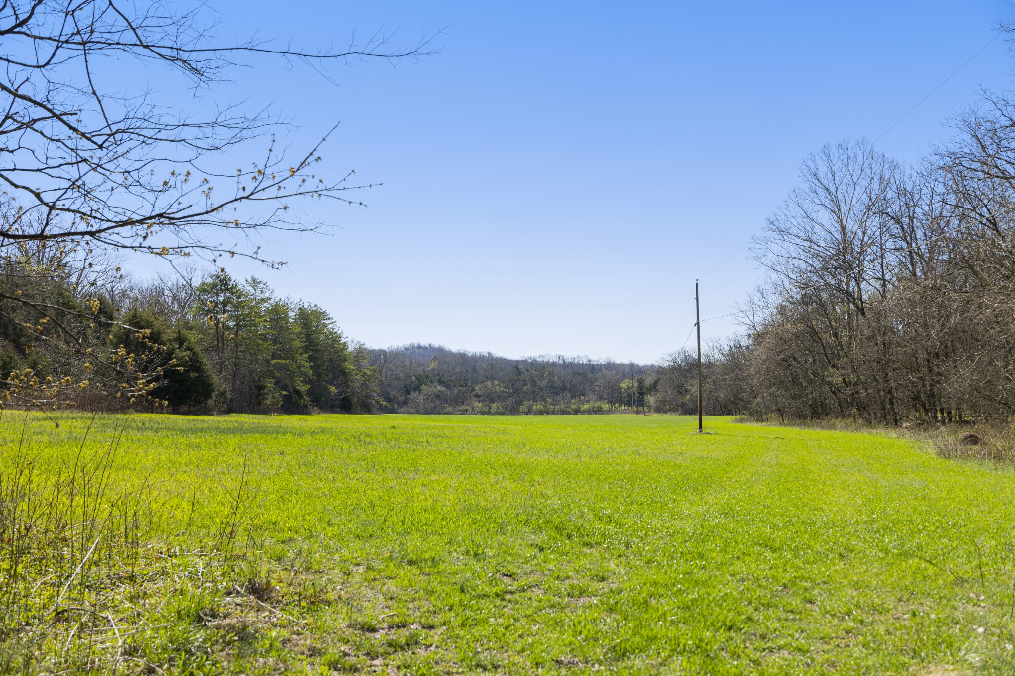 4250 Delina Road Cornersville, TN 37047 - Photo 19 of 34