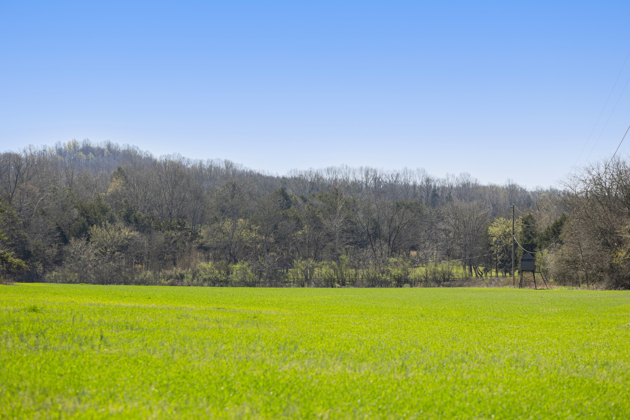 4250 Delina Road Cornersville, TN 37047 - Photo 20 of 34
