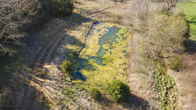 $1,700,000 | 4250 Delina Road, Cornersville, TN 37047