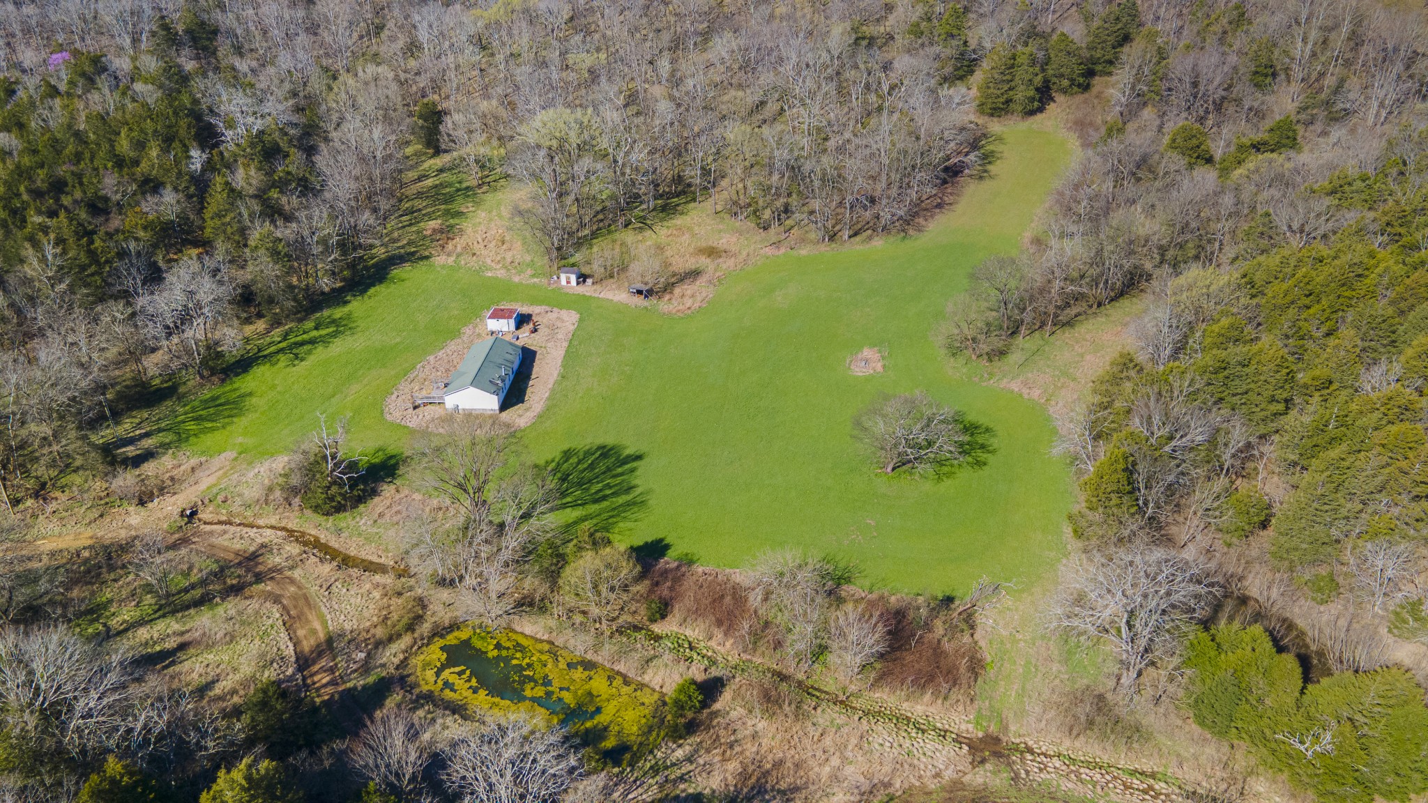 4250 Delina Road Cornersville, TN 37047 - Photo 22 of 34