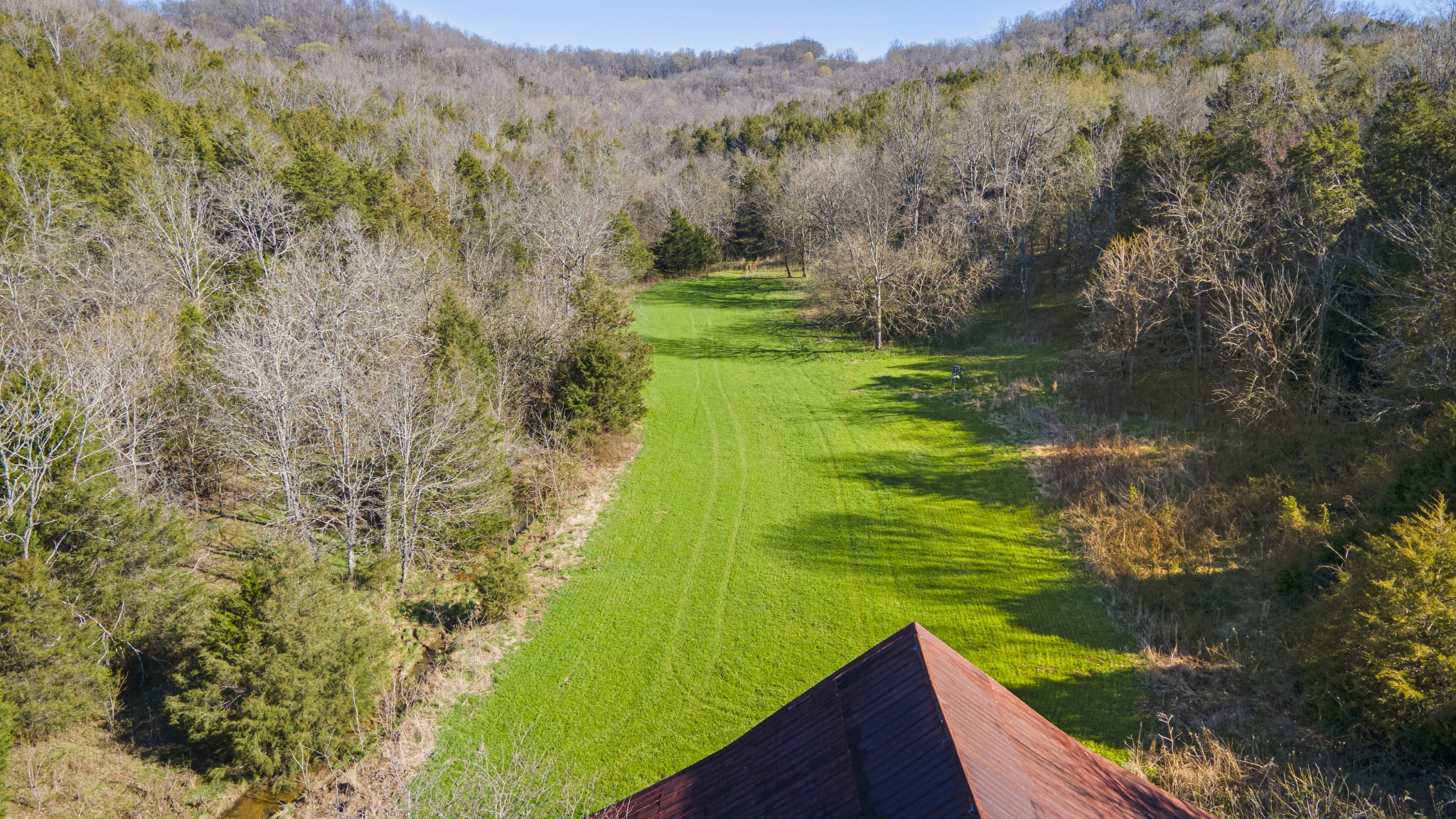 4250 Delina Road Cornersville, TN 37047 - Photo 23 of 34