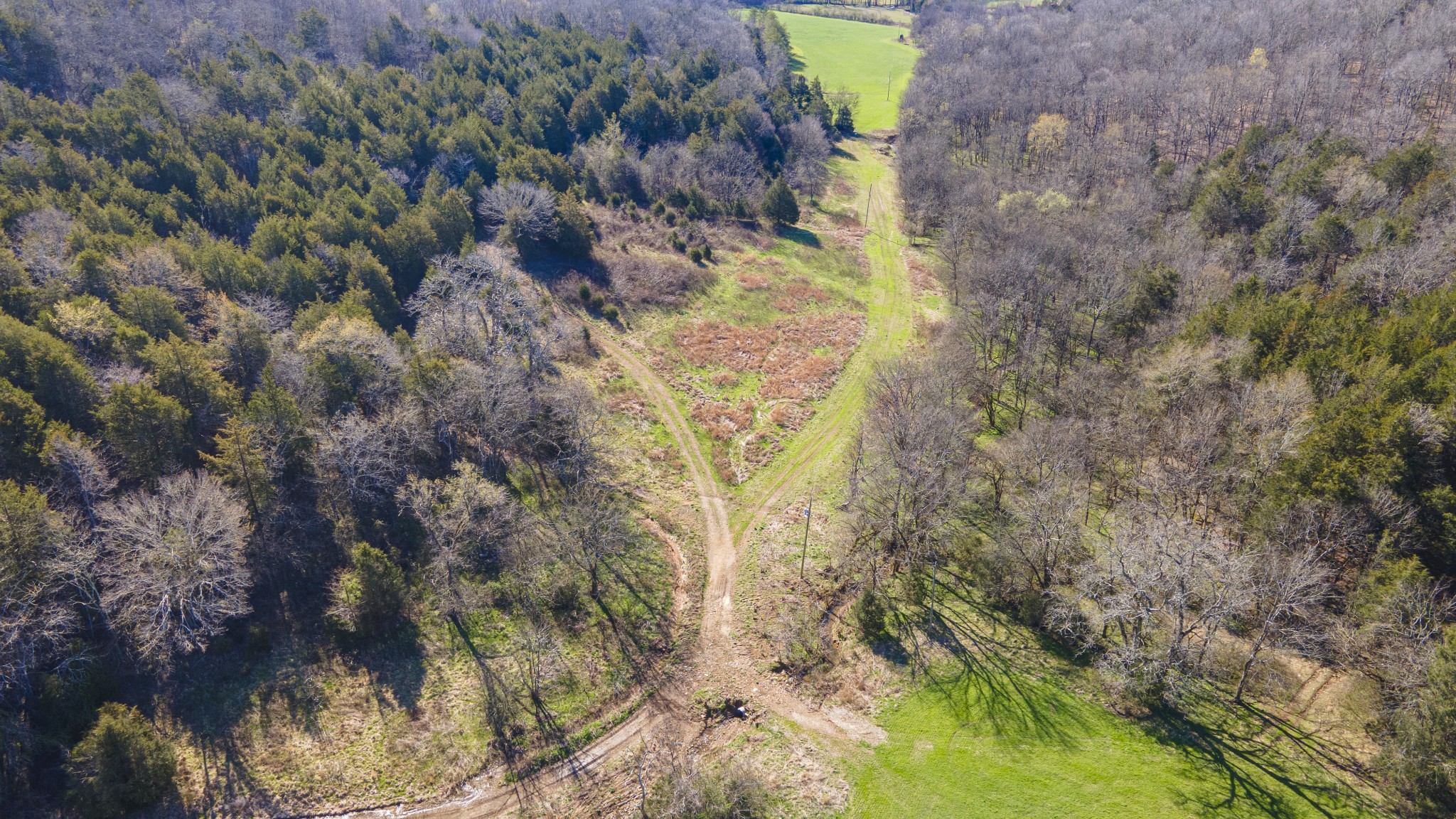 4250 Delina Road Cornersville, TN 37047 - Photo 26 of 34