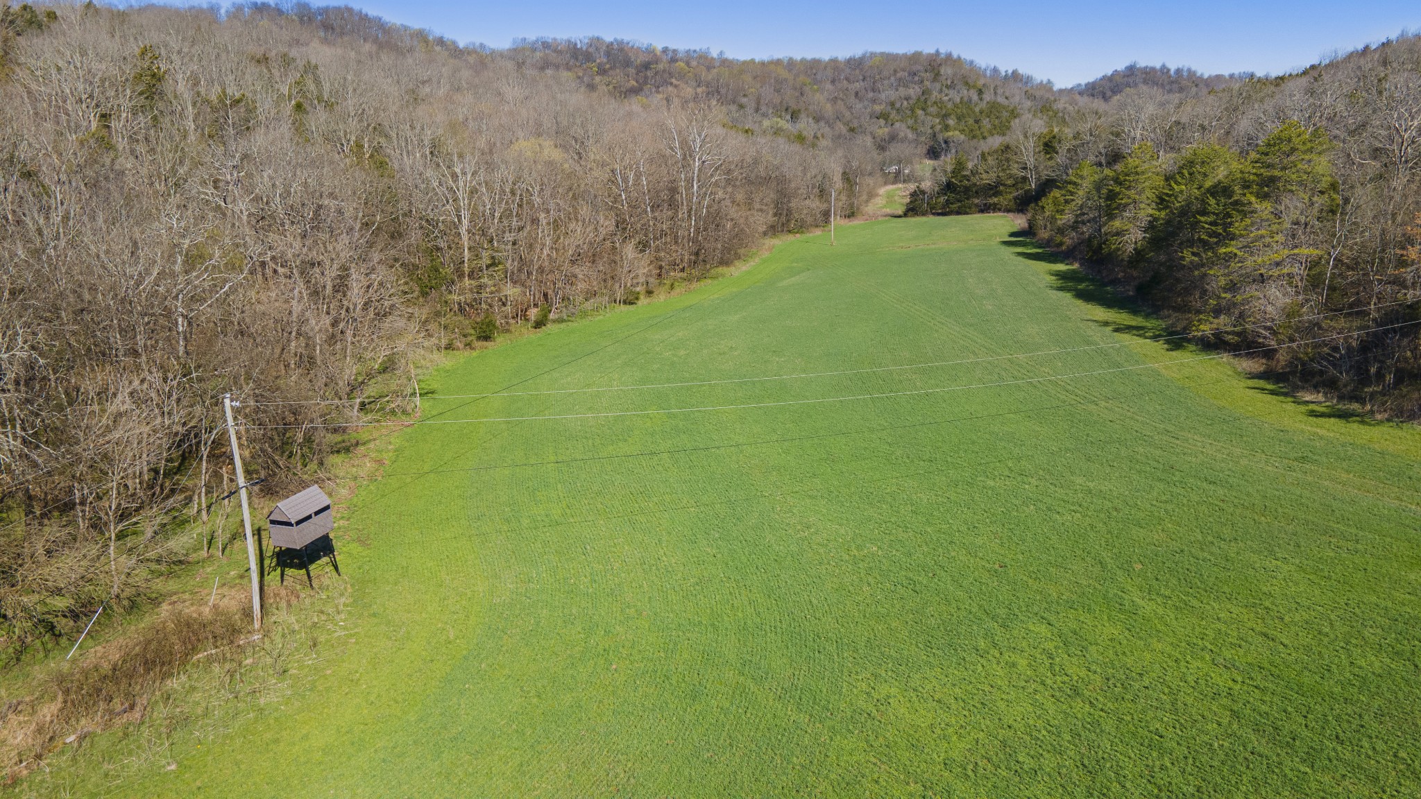4250 Delina Road Cornersville, TN 37047 - Photo 29 of 34