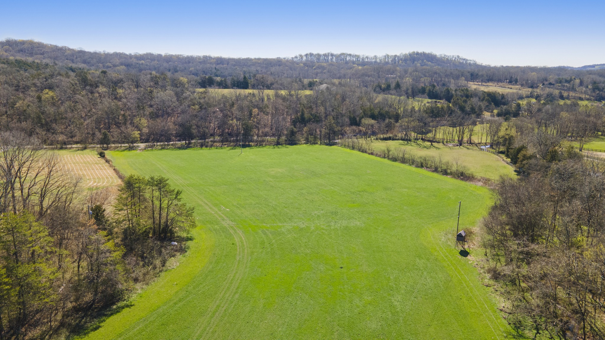 4250 Delina Road Cornersville, TN 37047 - Photo 34 of 34