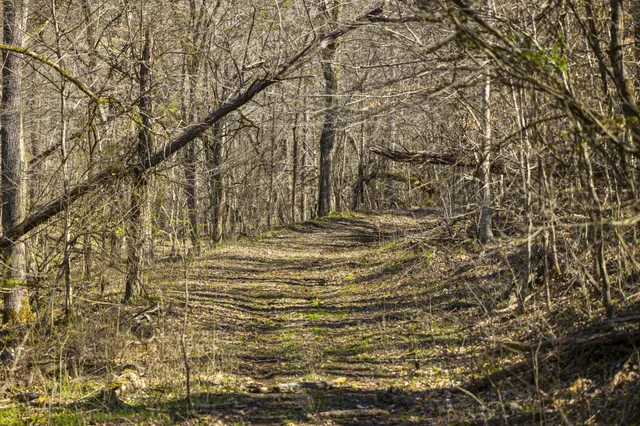 $1,700,000 | 4250 Delina Road, Cornersville, TN 37047