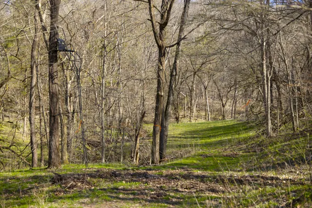 $1,700,000 | 4250 Delina Road, Cornersville, TN 37047