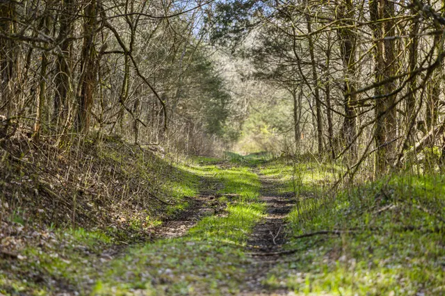 $1,700,000 | 4250 Delina Road, Cornersville, TN 37047