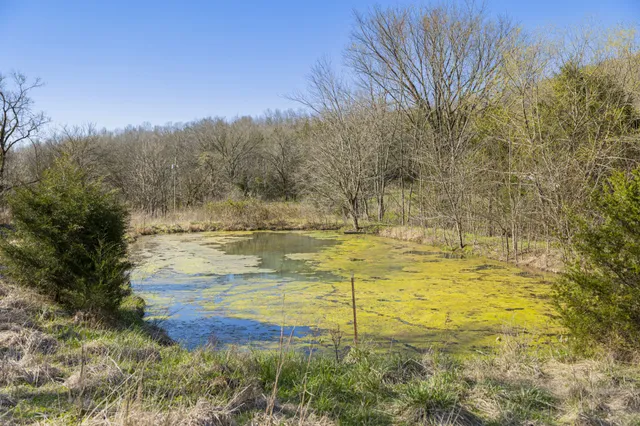 $1,700,000 | 4250 Delina Road, Cornersville, TN 37047