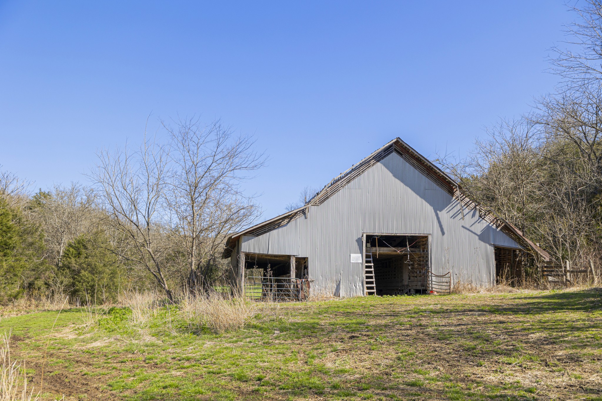 4250 Delina Road Cornersville, TN 37047 - Photo 10 of 34