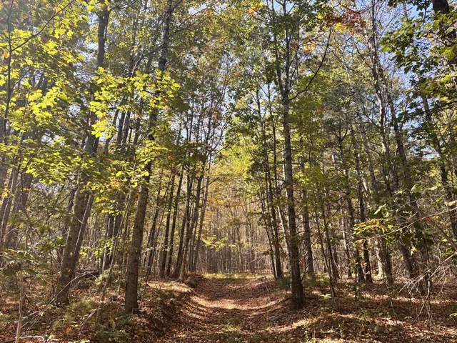 $215,000 | 150 Bowden Point Road, Prospect, ME 04981