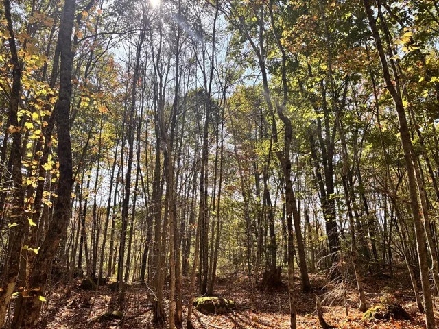 $215,000 | 150 Bowden Point Road, Prospect, ME 04981