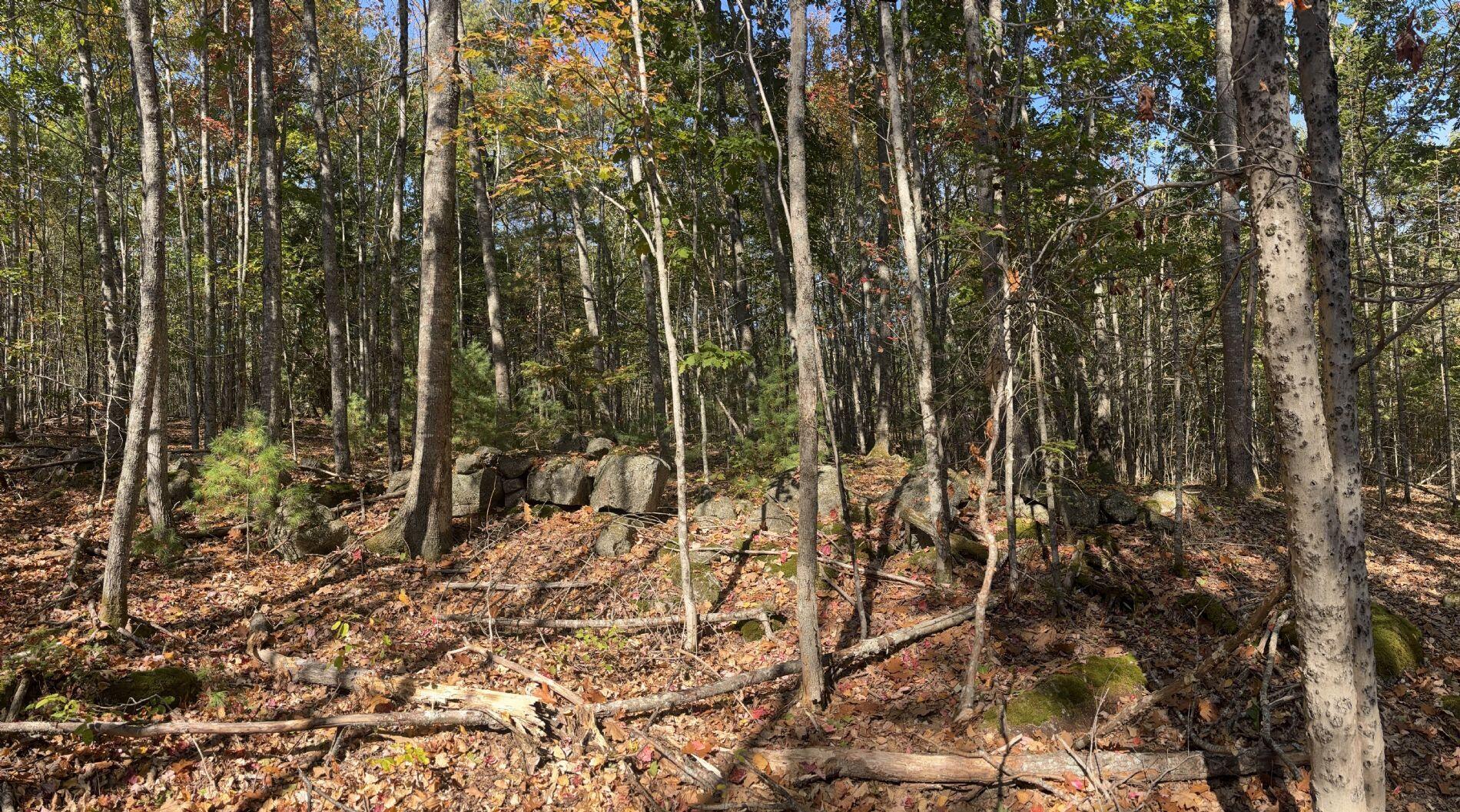 150 Bowden Point Road Prospect, ME 04981 - Photo 12 of 31 4