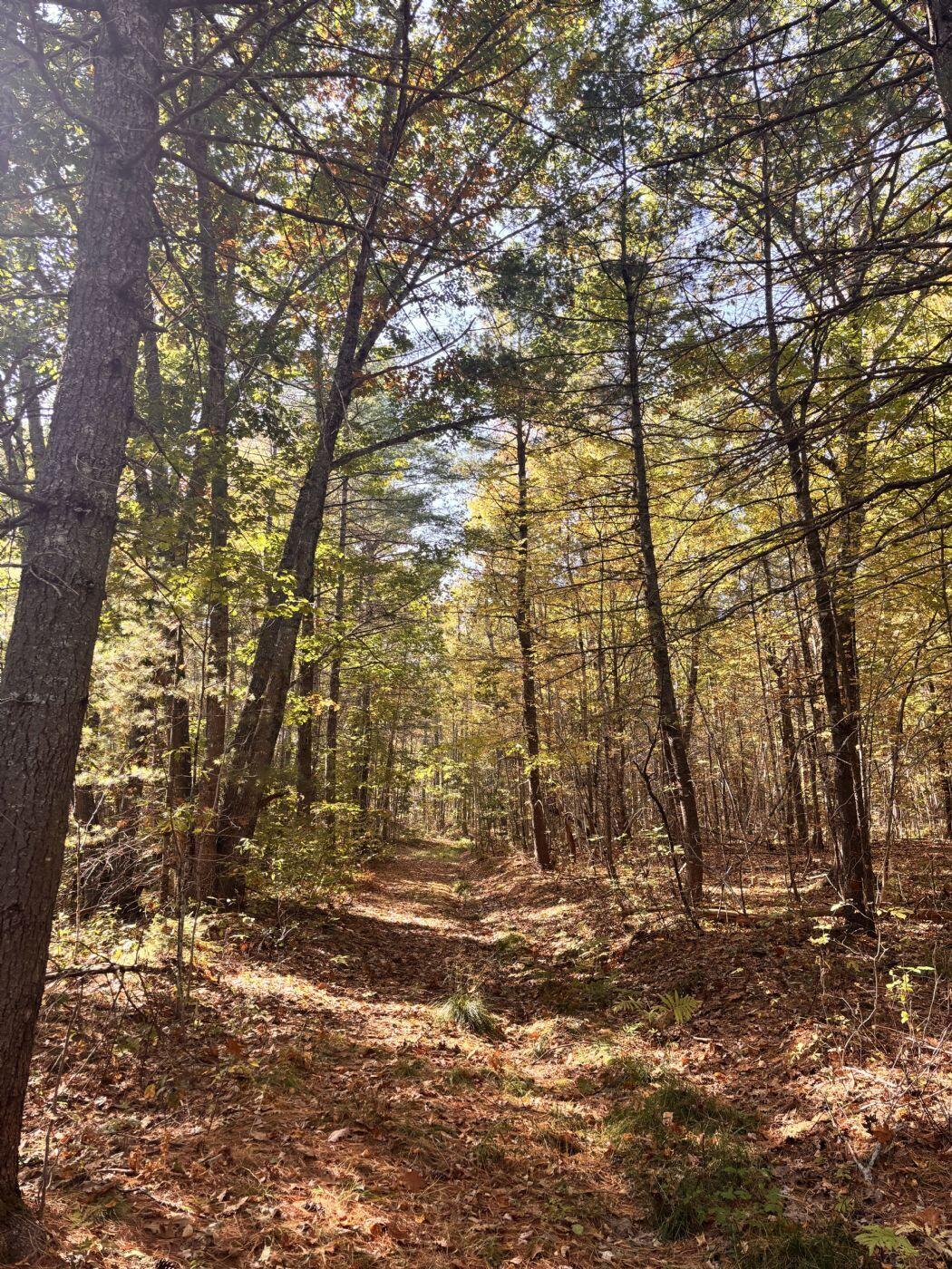 150 Bowden Point Road Prospect, ME 04981 - Photo 13 of 31 1