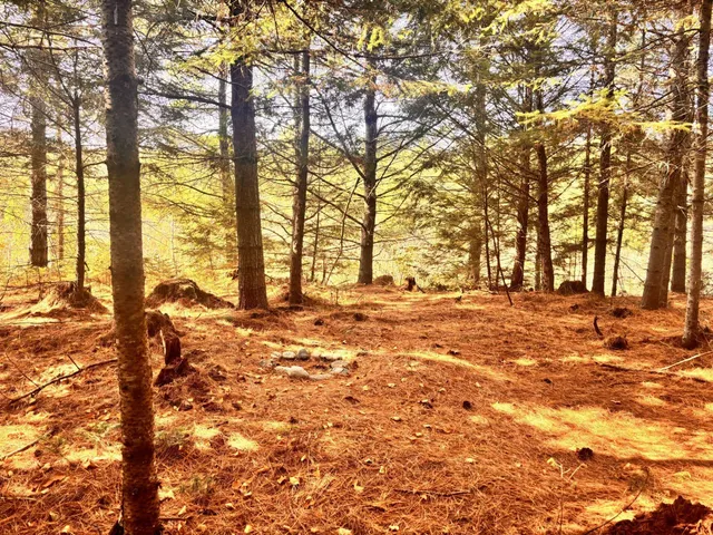 $215,000 | 150 Bowden Point Road, Prospect, ME 04981