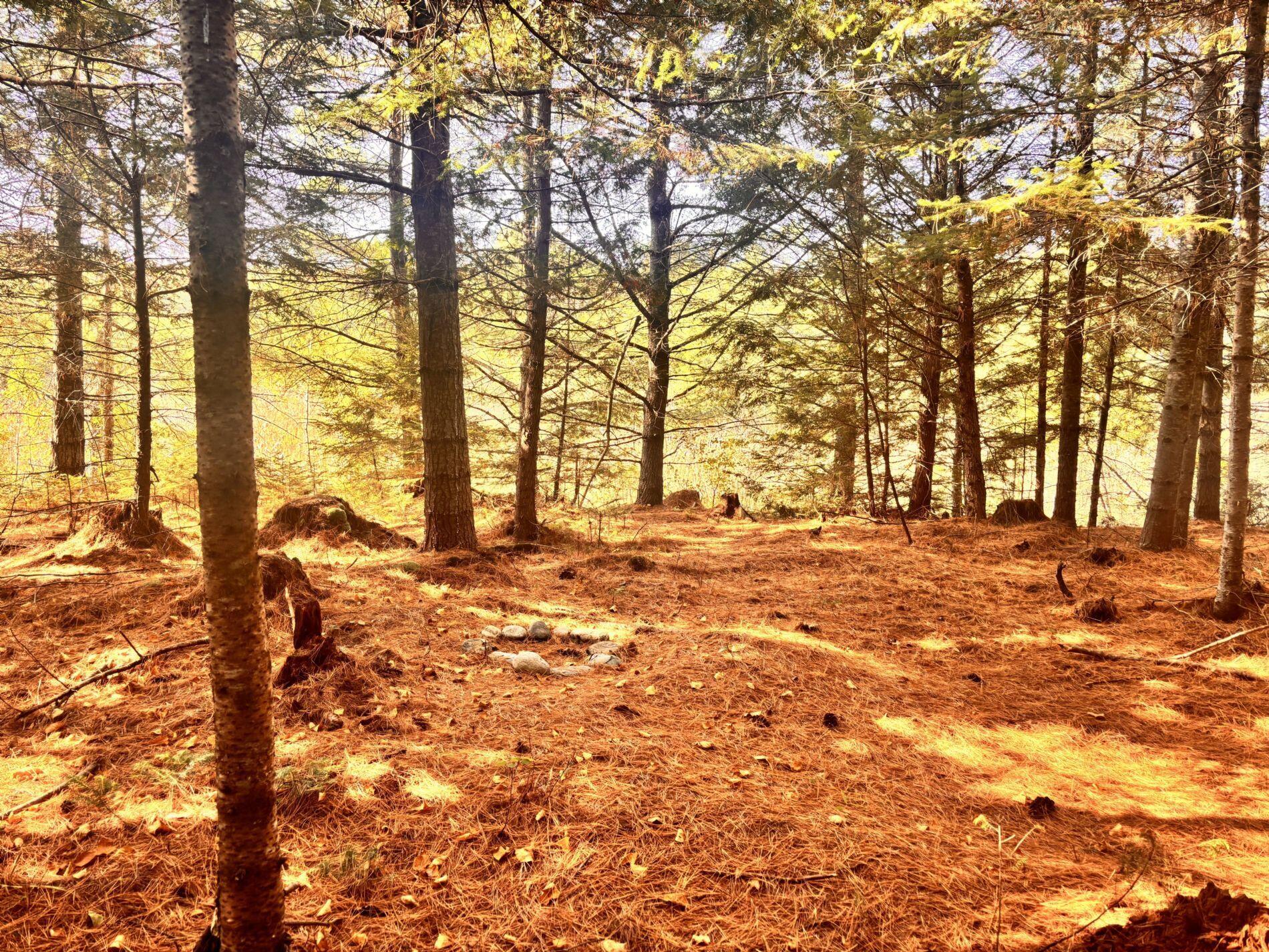 150 Bowden Point Road Prospect, ME 04981 - Photo 19 of 31 22