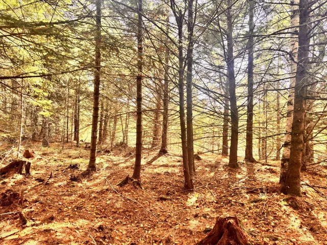 $215,000 | 150 Bowden Point Road, Prospect, ME 04981