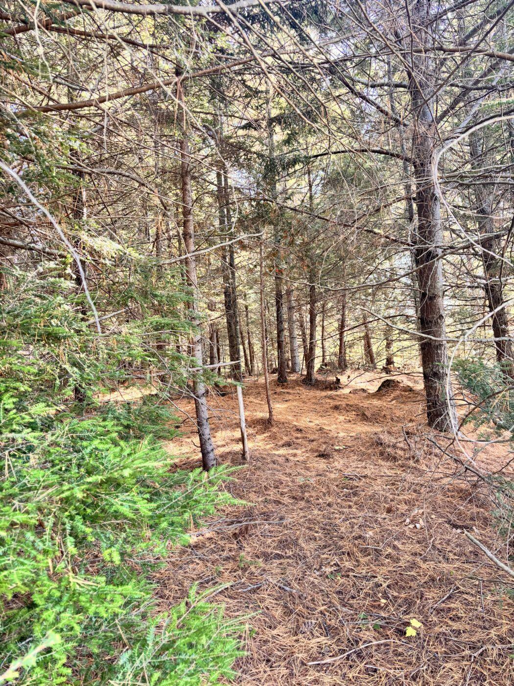 150 Bowden Point Road Prospect, ME 04981 - Photo 21 of 31 25