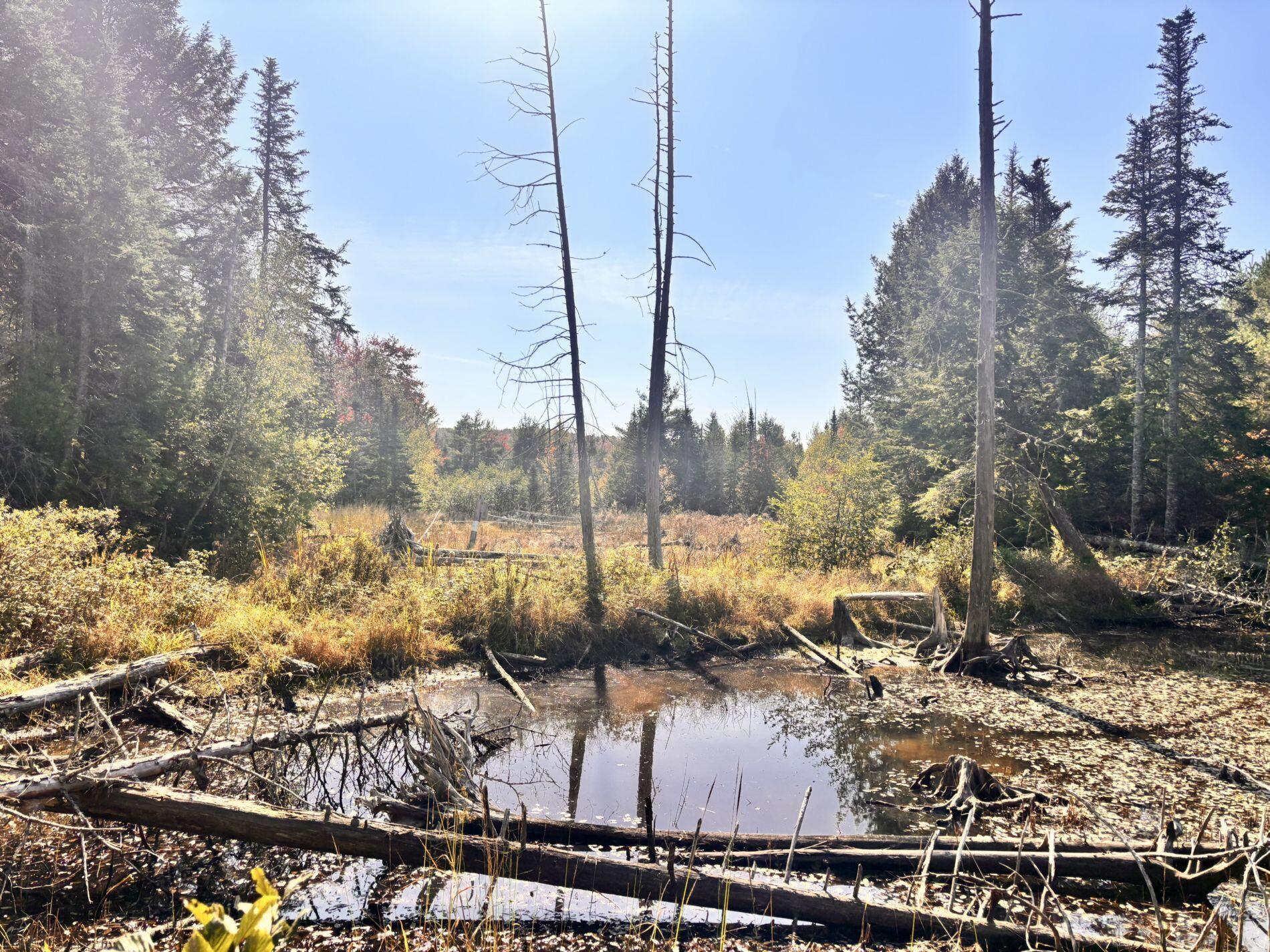 150 Bowden Point Road Prospect, ME 04981 - Photo 22 of 31 21
