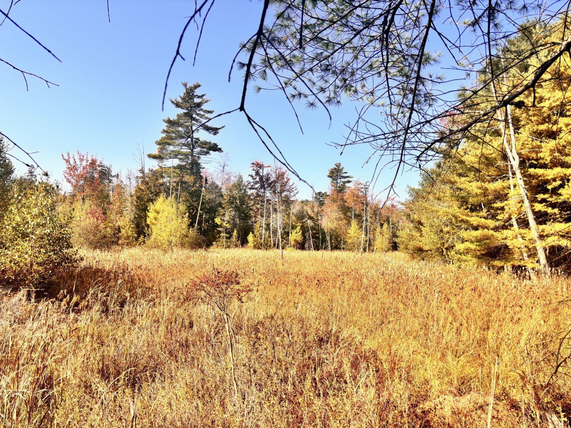 150 Bowden Point Road Prospect, ME 04981 - Photo 23 of 31 15