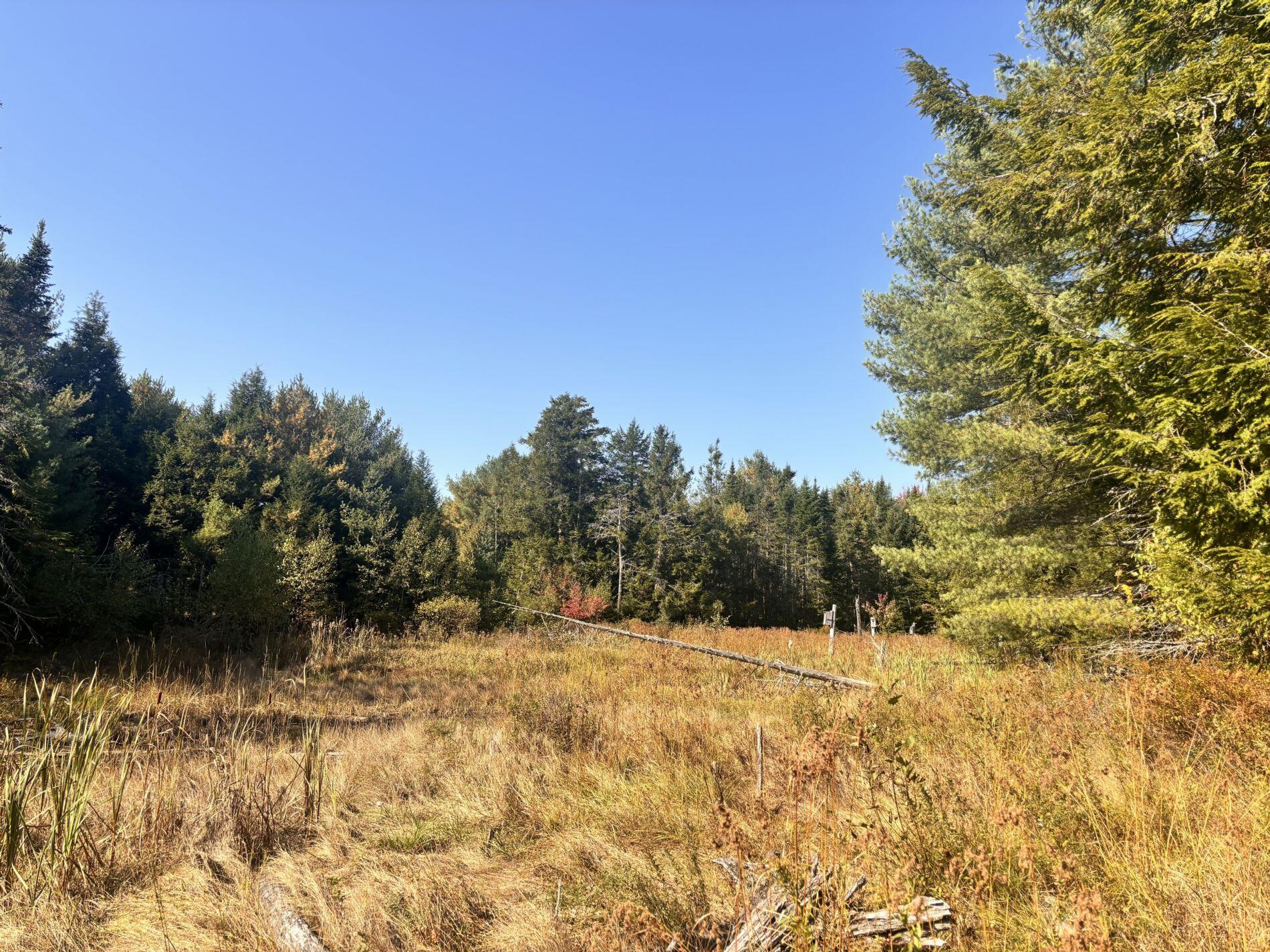 150 Bowden Point Road Prospect, ME 04981 - Photo 24 of 31 14