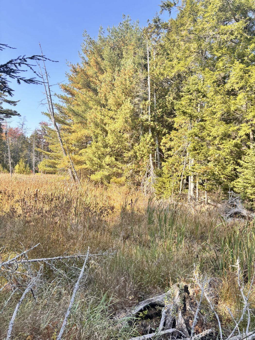 150 Bowden Point Road Prospect, ME 04981 - Photo 25 of 31 26