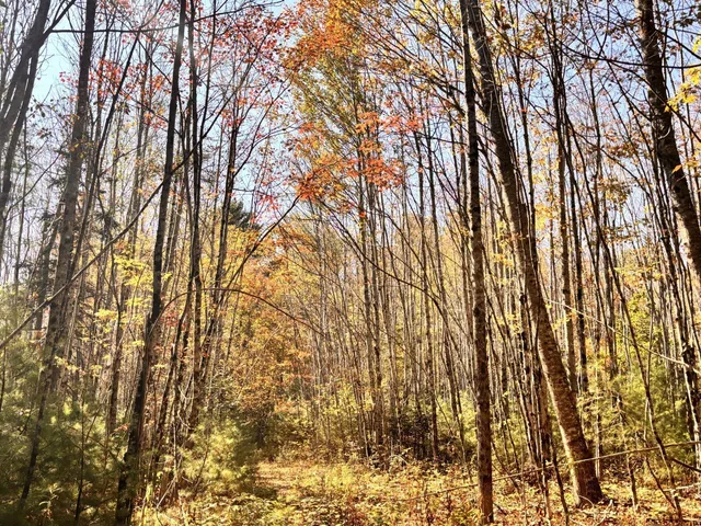 $215,000 | 150 Bowden Point Road, Prospect, ME 04981