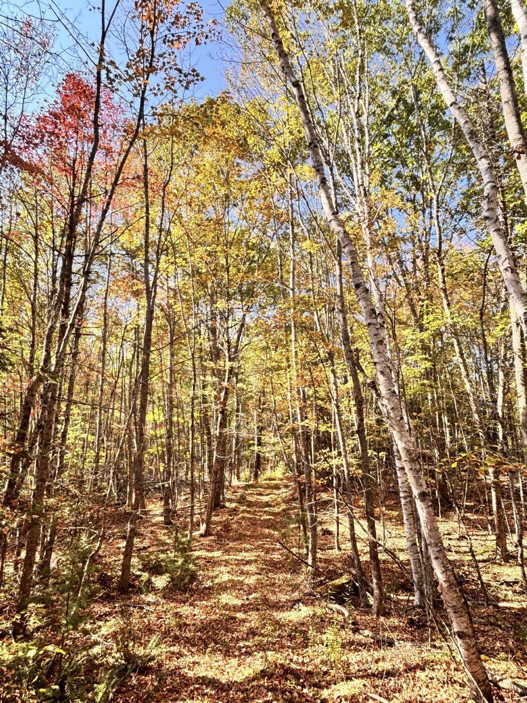 150 Bowden Point Road Prospect, ME 04981 - Photo 30 of 31 12