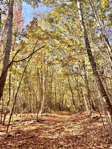 $215,000 | 150 Bowden Point Road, Prospect, ME 04981