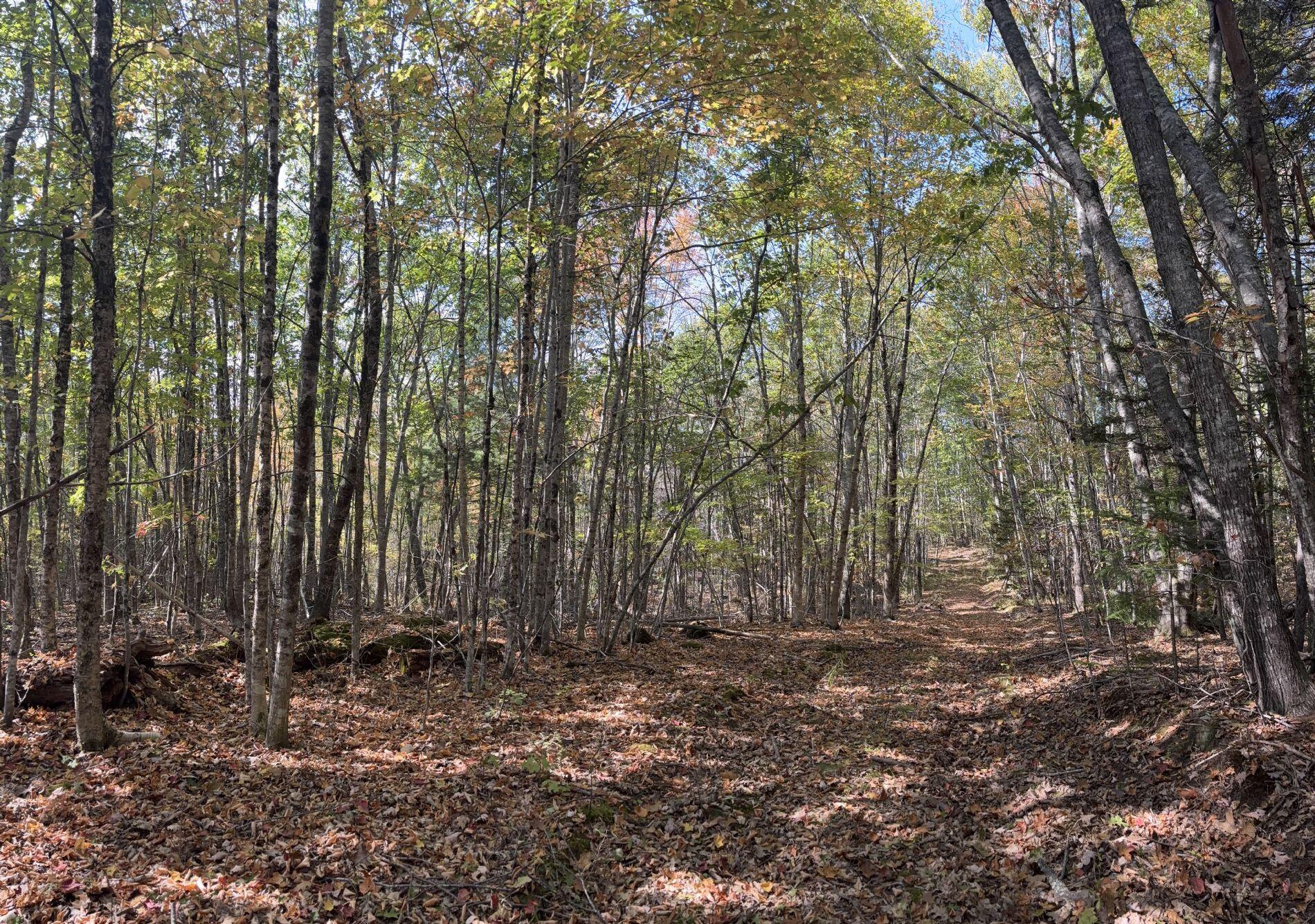 150 Bowden Point Road Prospect, ME 04981 - Photo 9 of 31 8