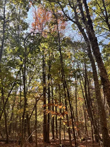 $215,000 | 150 Bowden Point Road, Prospect, ME 04981