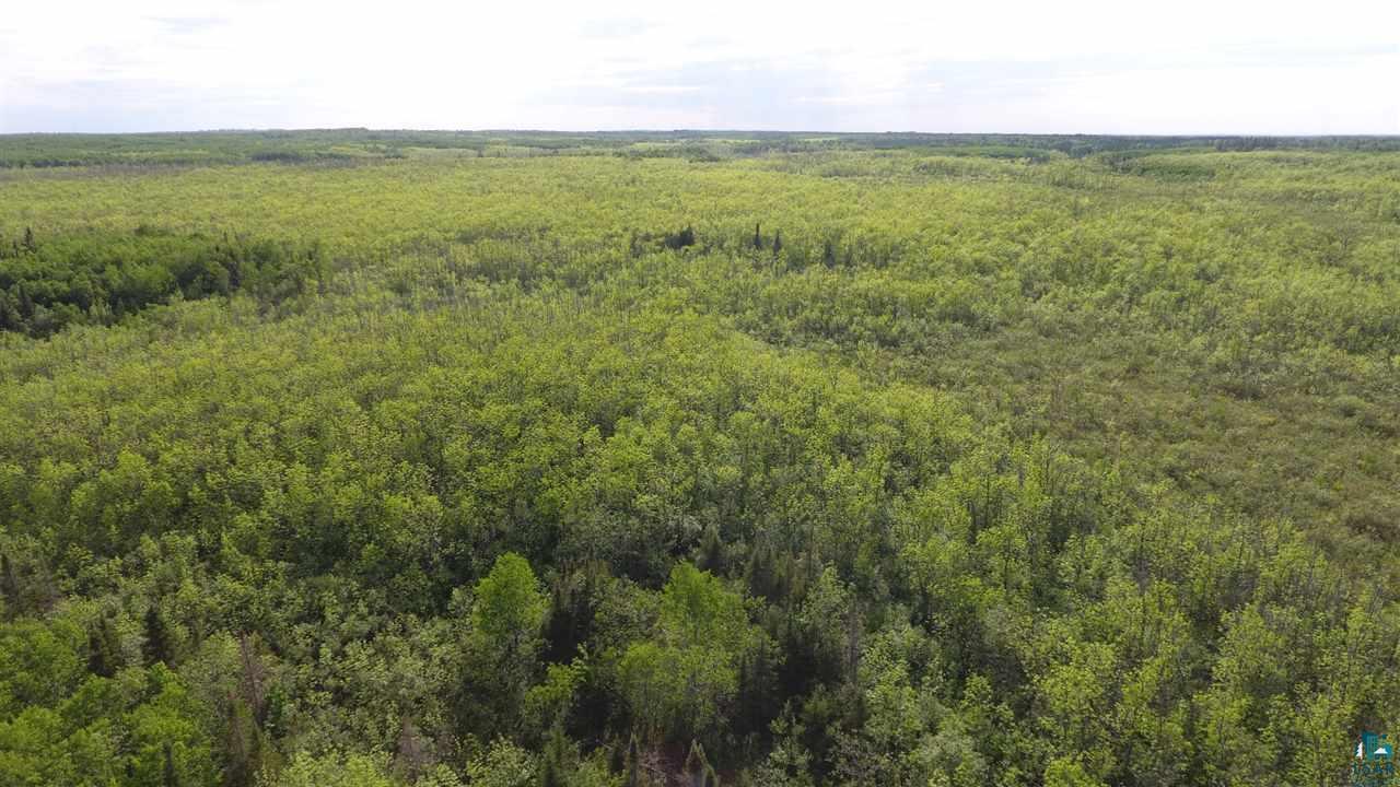0 Cemetery Road South Range, WI 54874 - Photo 6 of 17