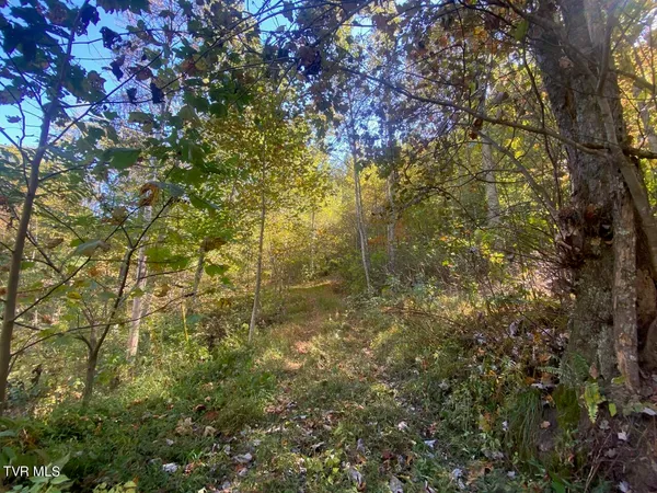$129,900 | 421 Grouse Run Road, Sneedville, TN 37869