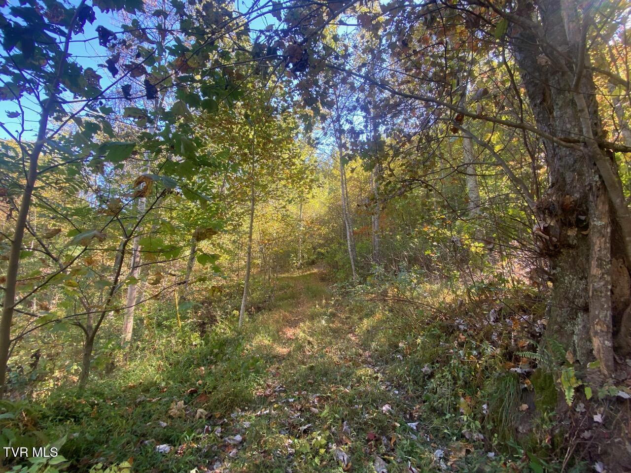 421 Grouse Run Road Sneedville, TN 37869 - Photo 9 of 9 driveway