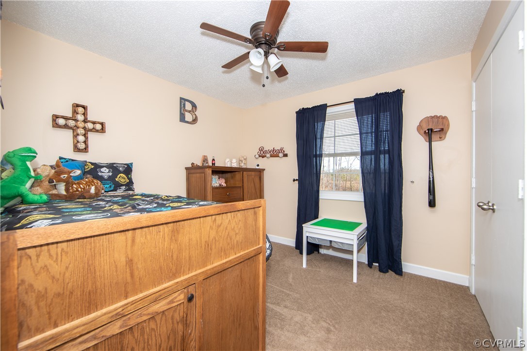13212 Continental Road Wilsons, VA 23894 - Photo 15 of 26 Gallery Image 15