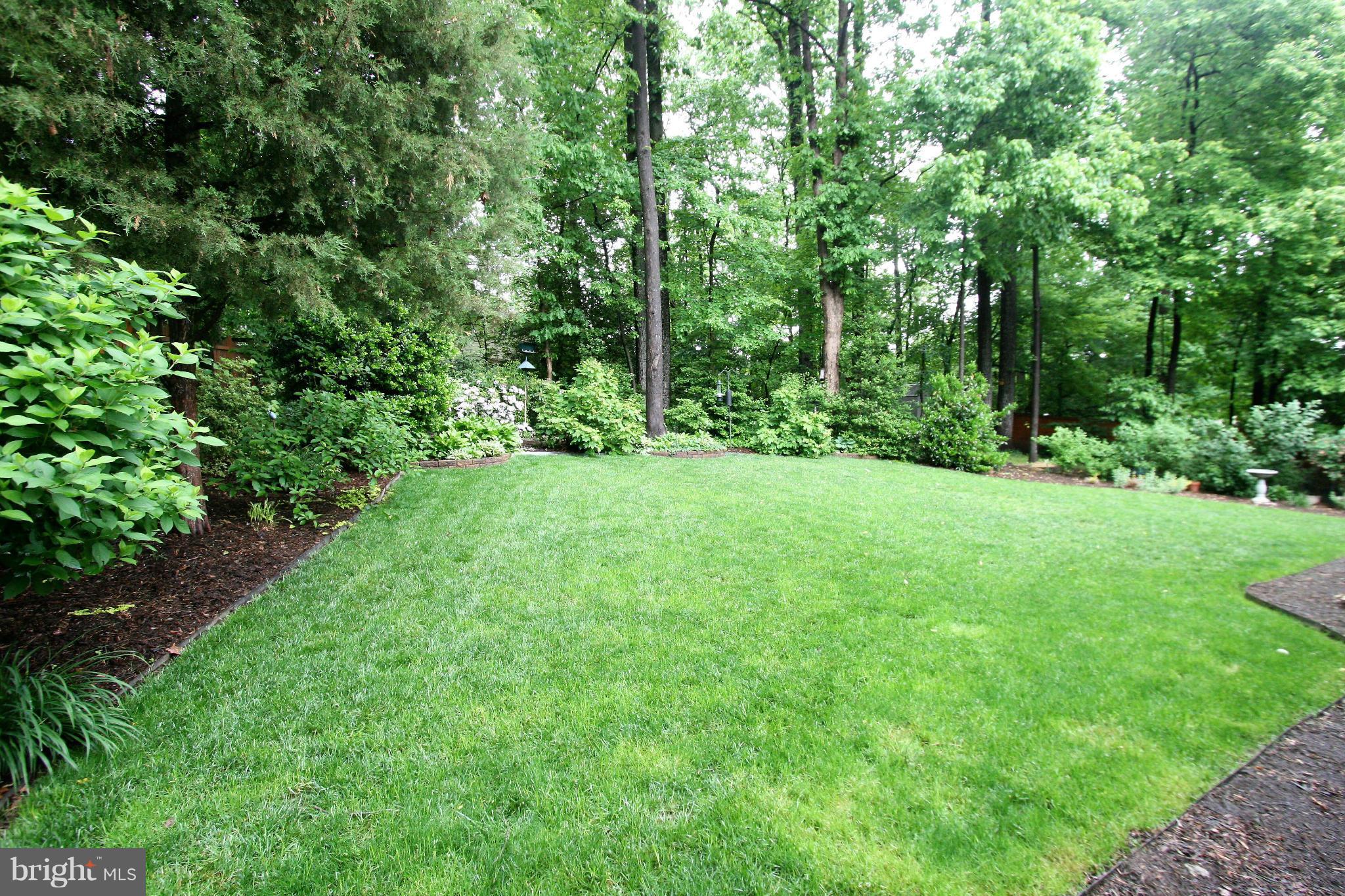 10190 Wavell Road Fairfax, VA 22032 - Photo 26 of 29 The homeowner could be a professional landscaper?