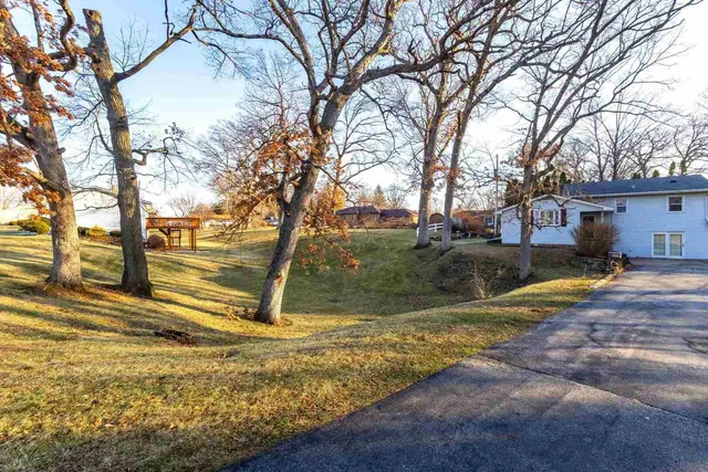 a view of yard with tree