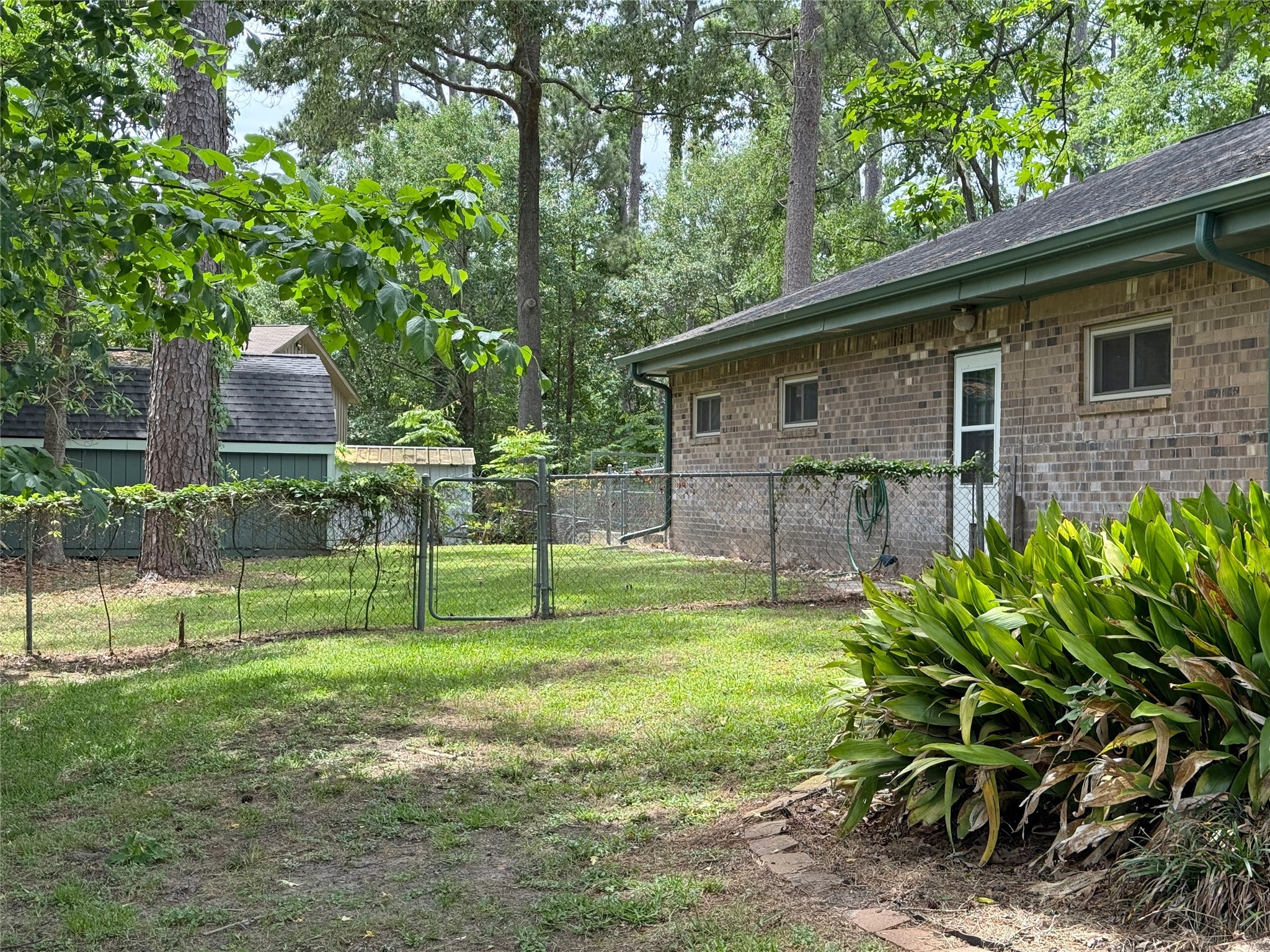 192 Sam Houston Loop Point Blank, TX 77364 - Photo 38 of 42 Left side of the house and yard.