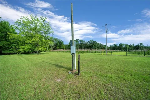 a view of a park with a tree in the background